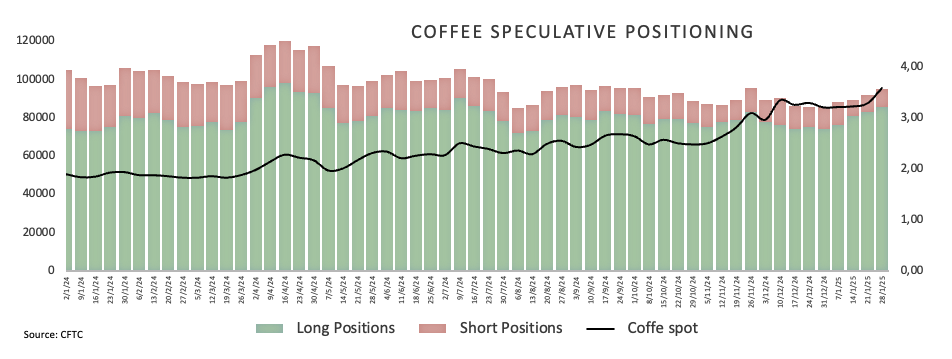 毛里求斯证券交易所因飓风警报于2月27日暂停交易