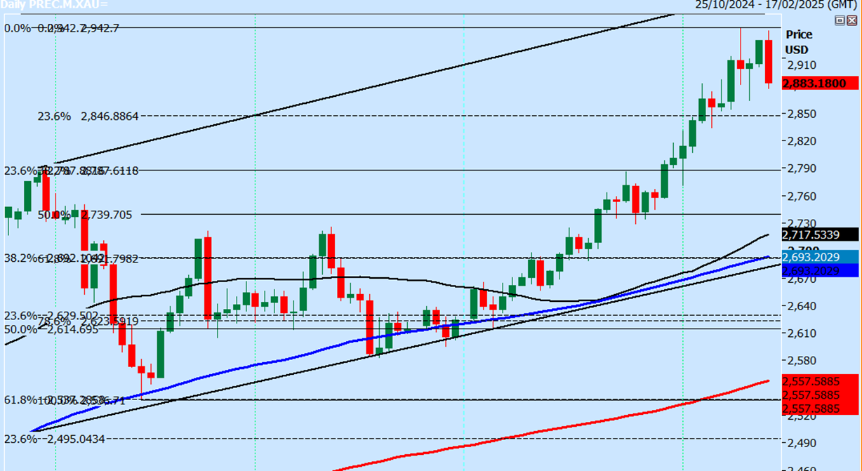 2025年国内生产总值增长预期目标为5%左右。