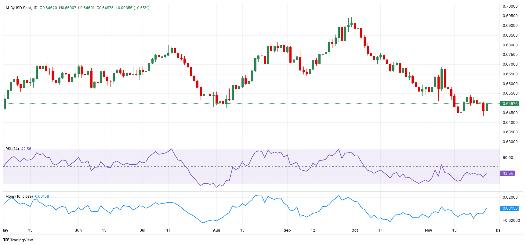 印度财长西塔拉曼强调提升双边关系的重要性